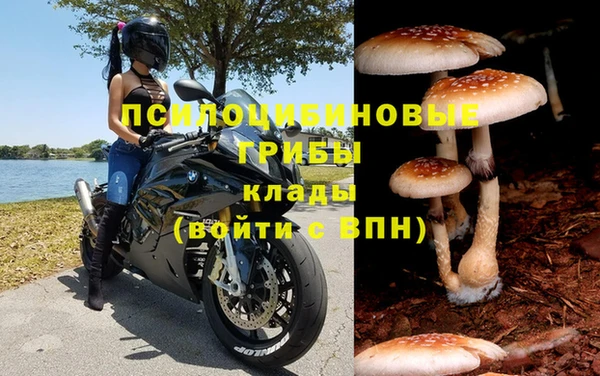 ГАЛЛЮЦИНОГЕННЫЕ ГРИБЫ Алексин